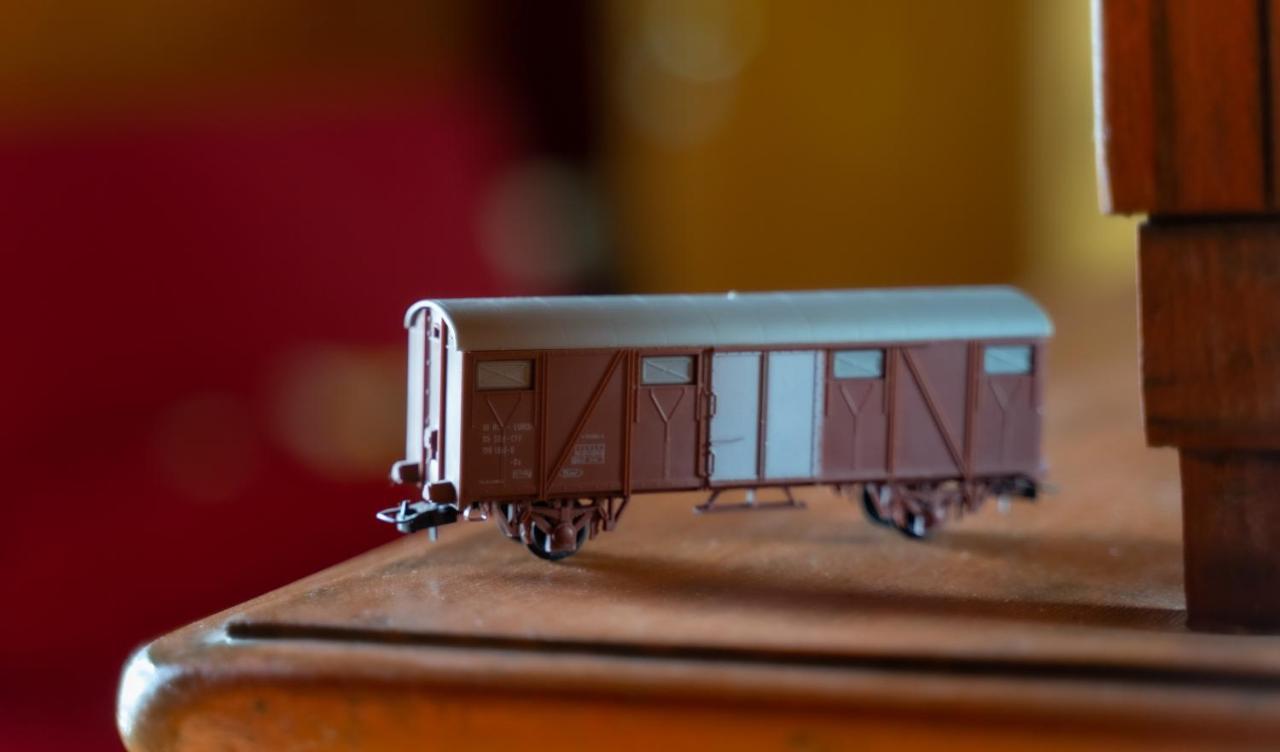 Train In The Forest Αριδαία Εξωτερικό φωτογραφία