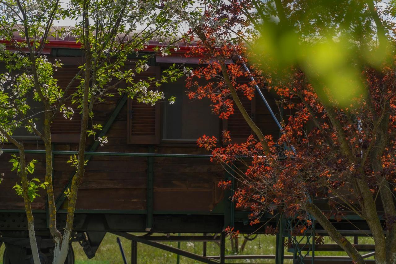 Train In The Forest Αριδαία Εξωτερικό φωτογραφία