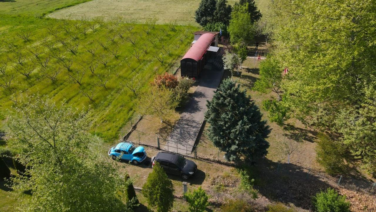 Train In The Forest Αριδαία Εξωτερικό φωτογραφία